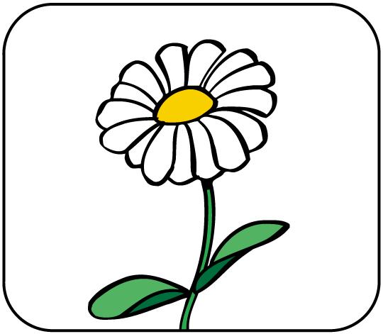 BLUME DIE